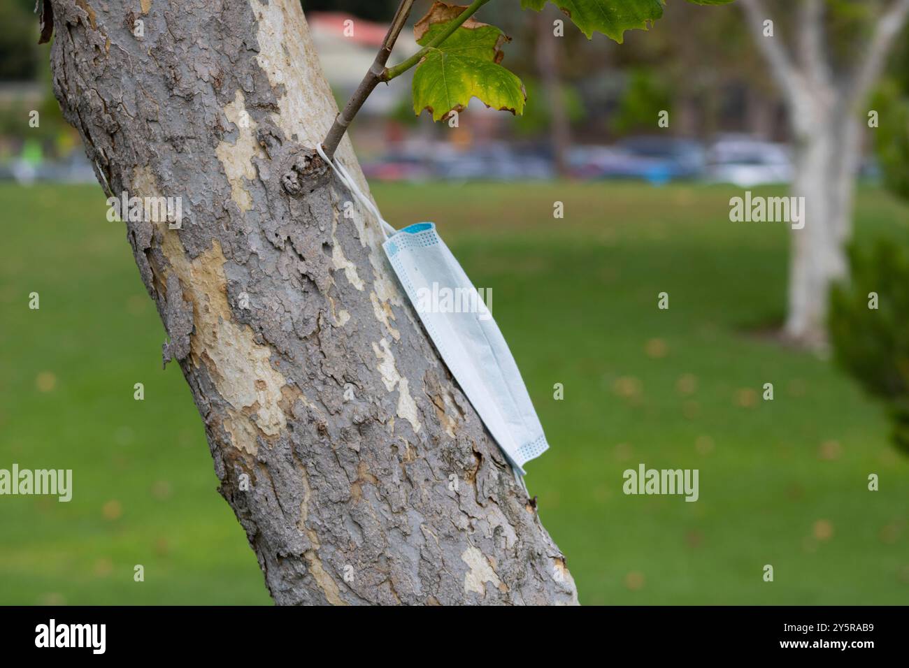 medical mask out in nature Stock Photo - Alamy