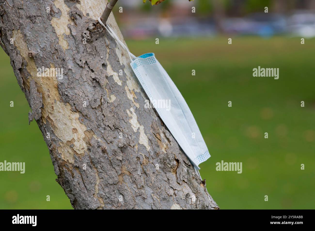medical mask out in nature Stock Photo - Alamy
