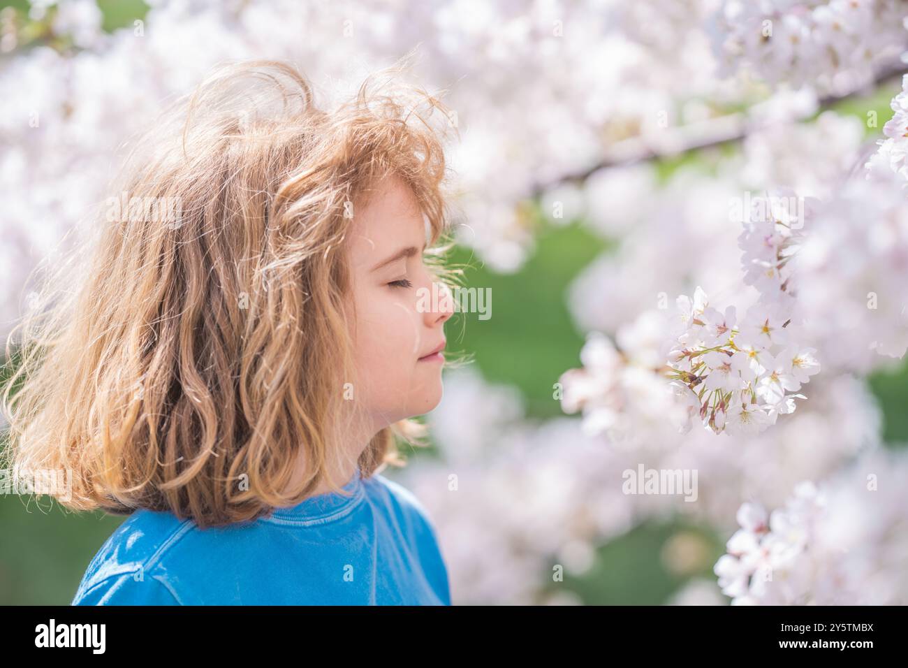 Spring Bloom Boy Kid in spring cherry blossom park. Happy childhood. Spring holidays ...