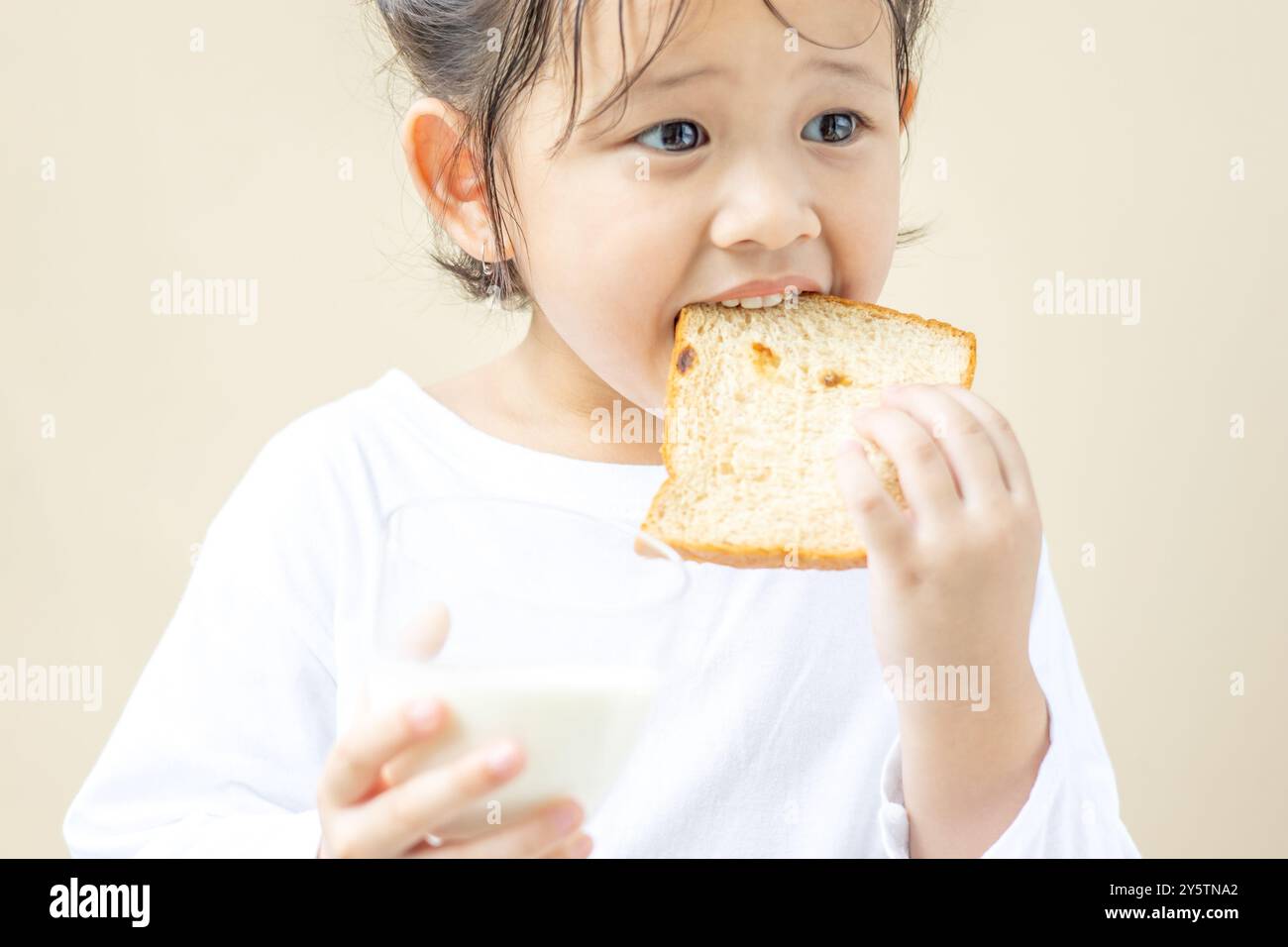 An Asian preschool girl wearing a white long-sleeved T-shirt holding a glass of milk and eating a slice of bread stands on a cream wall background. Stock Photo