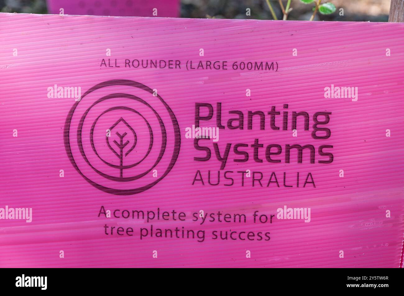 Tri-Cone Tree Guard, large, all rounder guard, 600 mm high, from Planting Systems Australia, pink color, Booderee Botanic Gardens, NSW, Australia Stock Photo