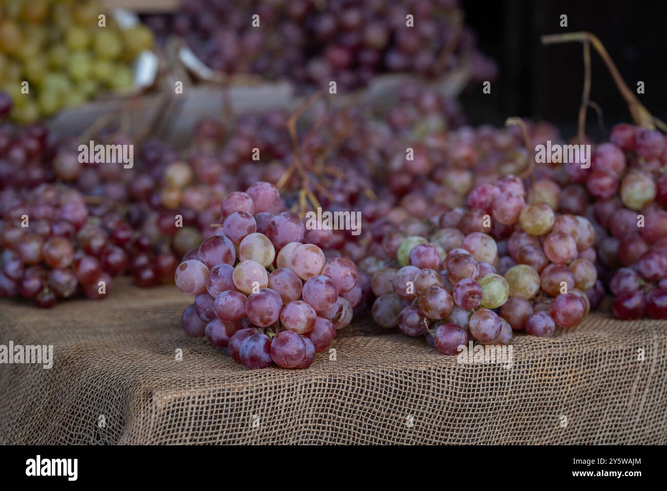 Organic grapes on display at the market. Red grapes background. Lots of ...
