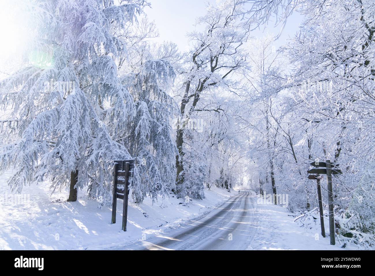 Winter road snow landscape trees hi-res stock photography and images ...