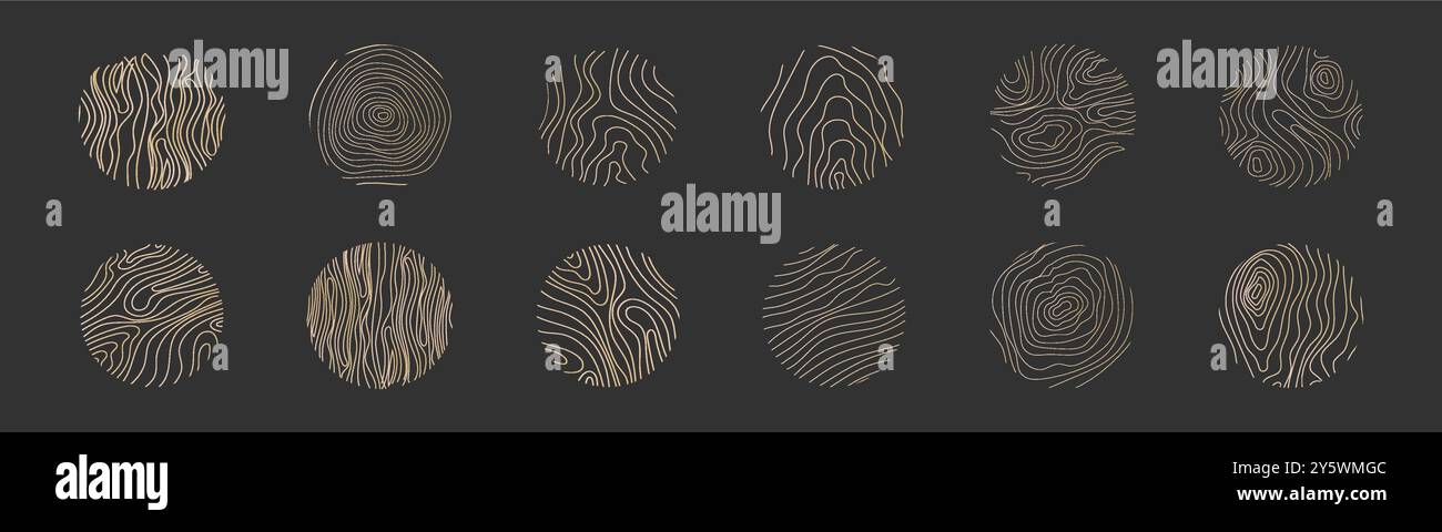 Golden thin line tree ring collection. Elegant gold wooden section ...