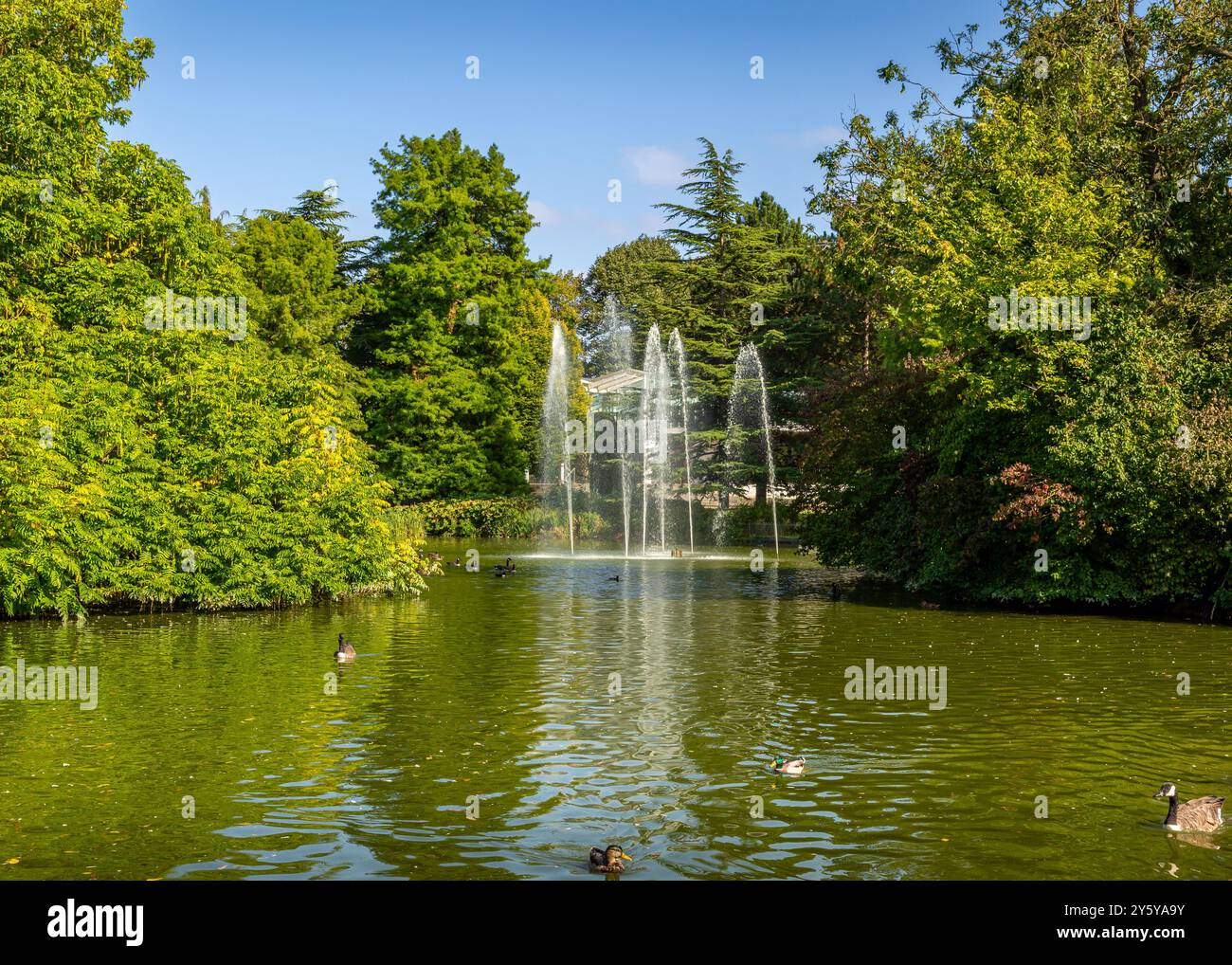 Jephason Jephson gardens clock tower hi-res stock photography and images - Alamy