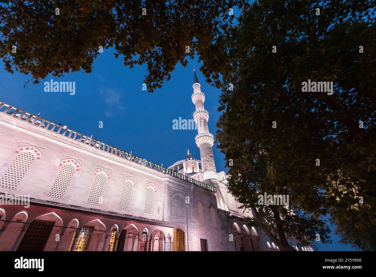 August 2024 - Istanbul: night view of the Sultan Ahmet blue mosque, a ...