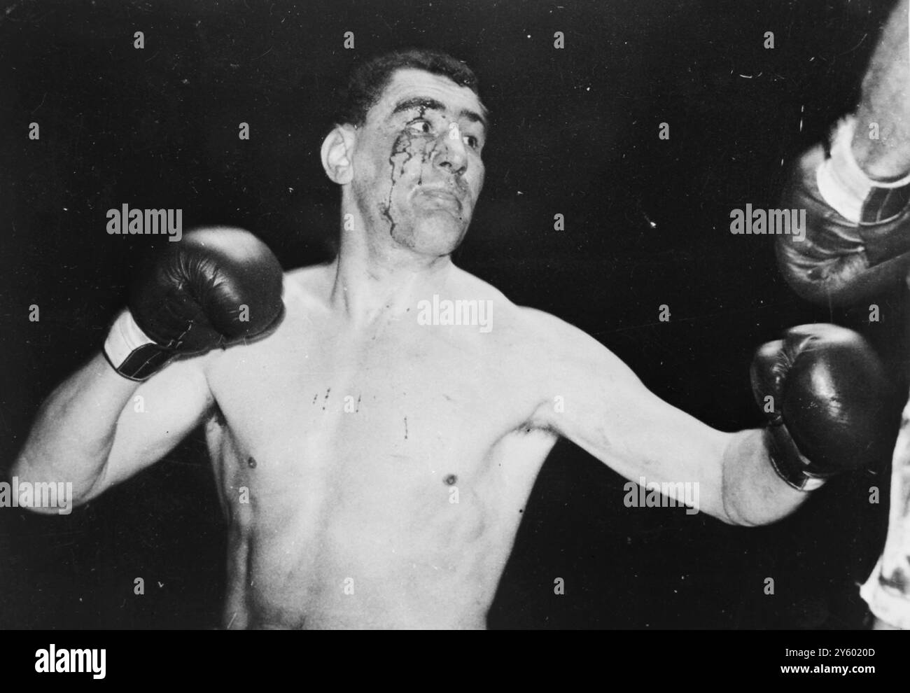 Quadro Con Autografo Stampato Di Sir Henry Cooper, Boxe, Formato A4 Incorniciato, Regalo Per Fan