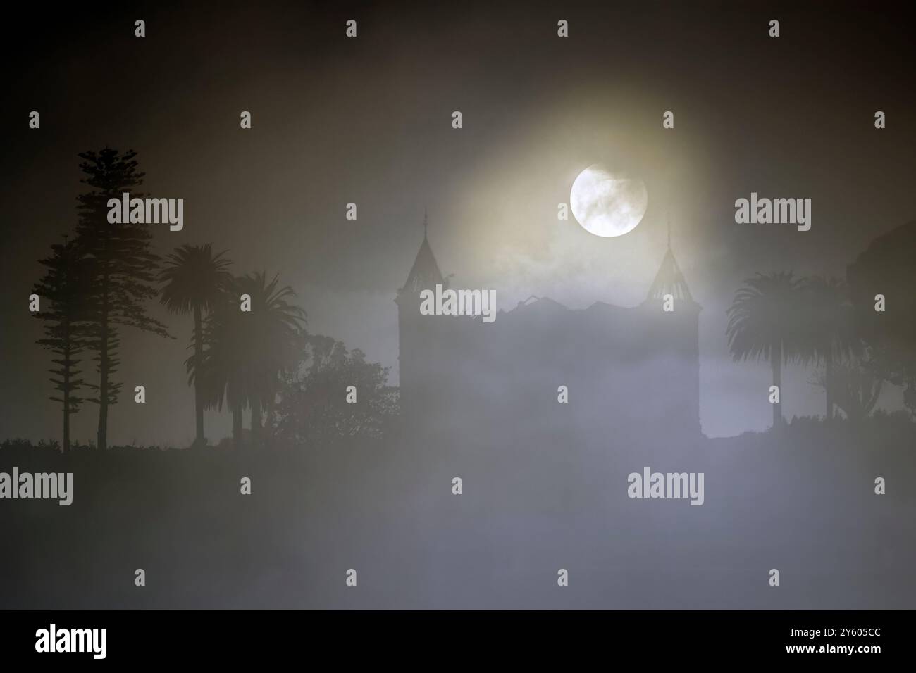 Mysterious palace in a foggy full moon night Stock Photo - Alamy