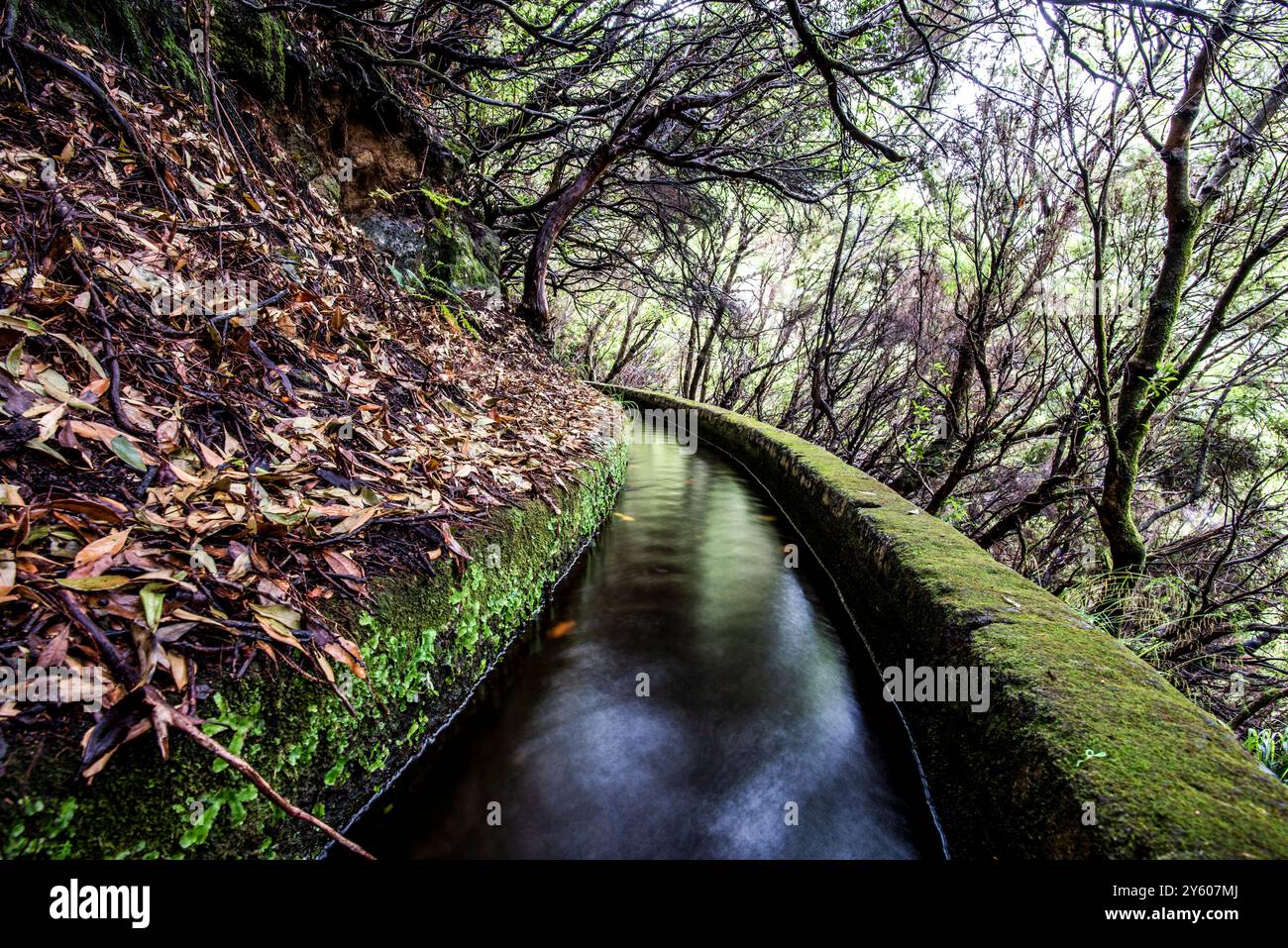 The 25 Fontes levada in Calheta in Rabaçal with cascade and fountain ...