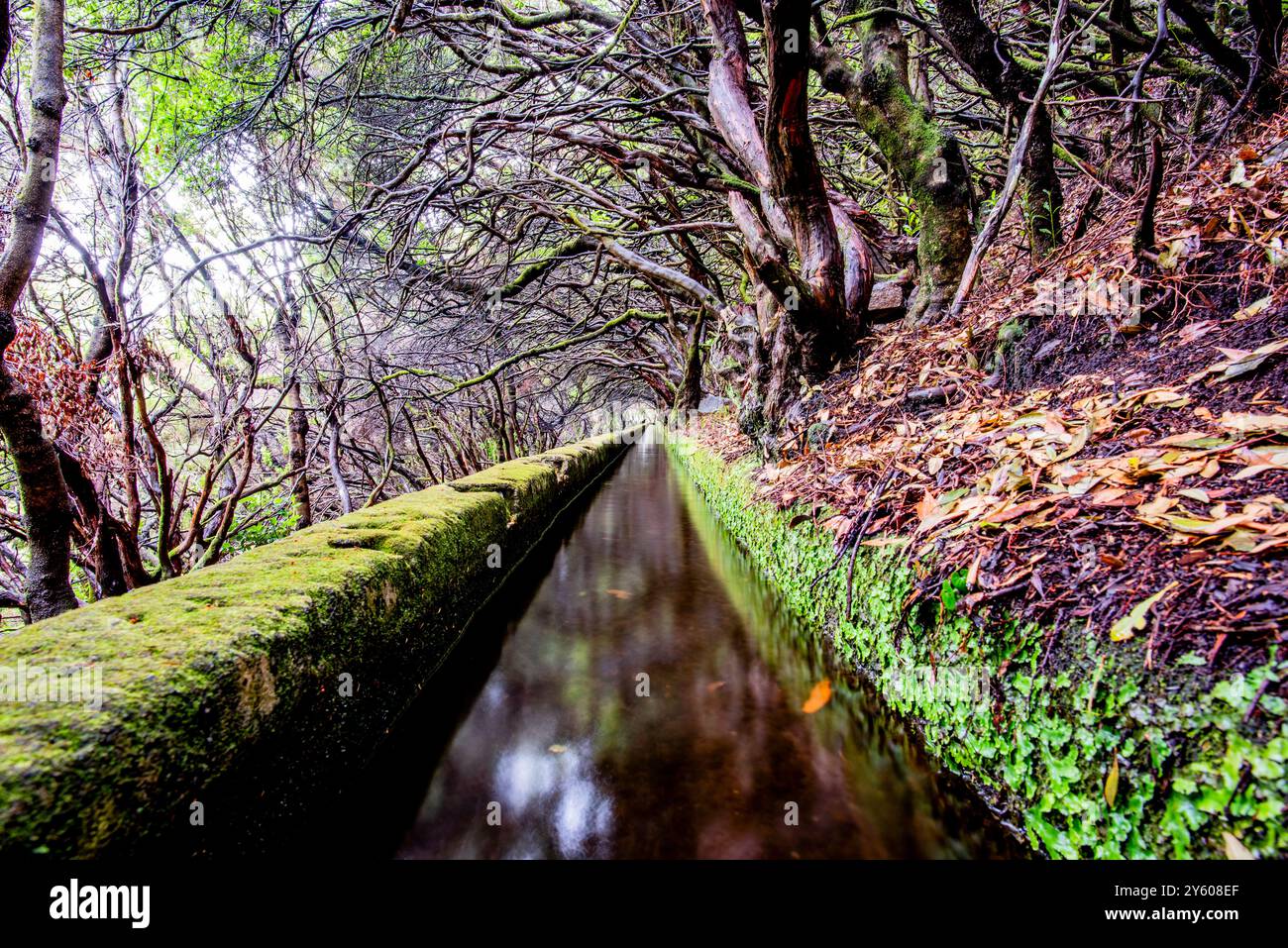 The 25 Fontes levada in Calheta in Rabaçal with cascade and fountain ...
