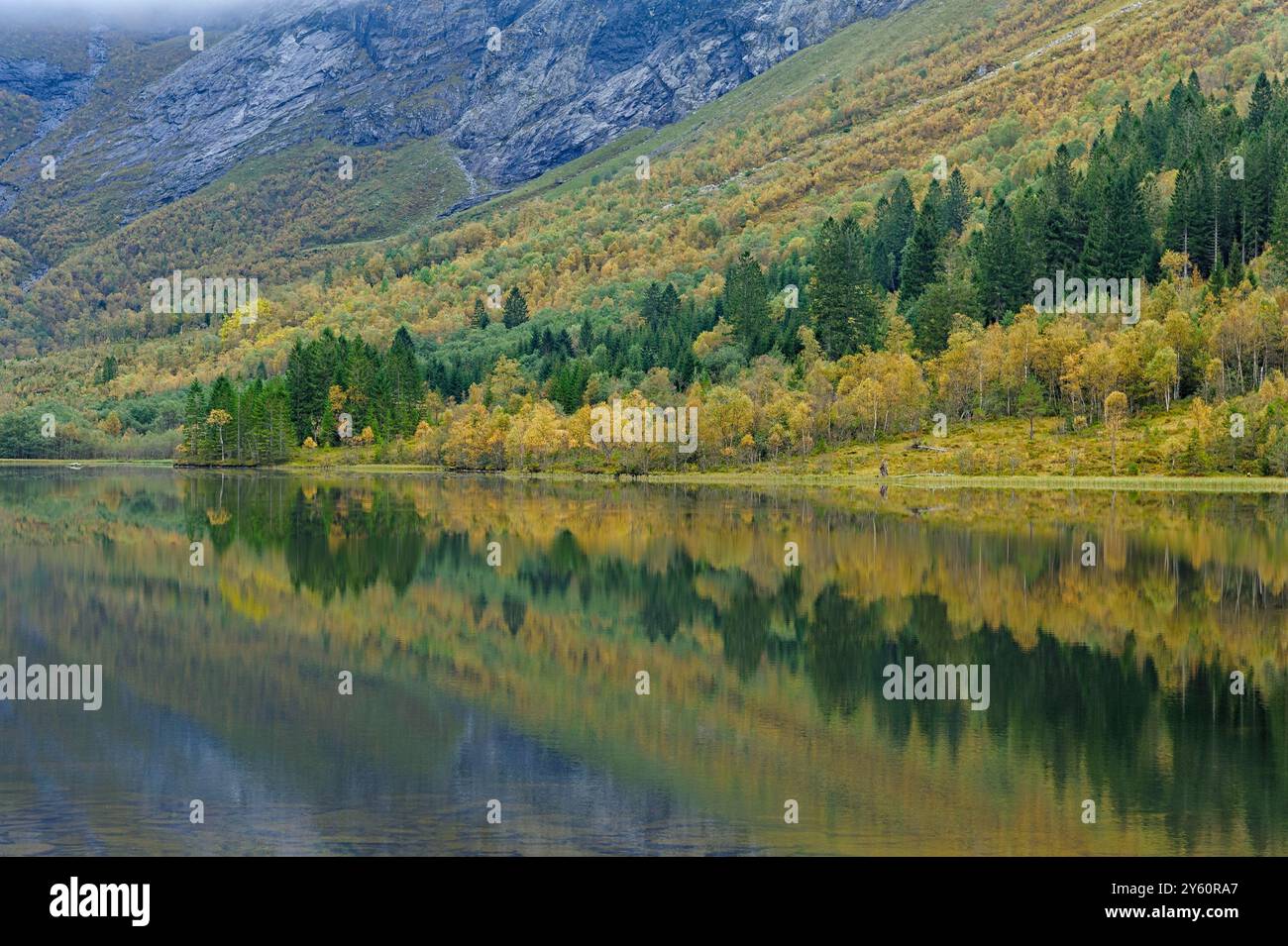 Colorful autumn leaves create a stunning reflection on a tranquil lake surrounded by mountains and lush forests in the calm water Stock Photo