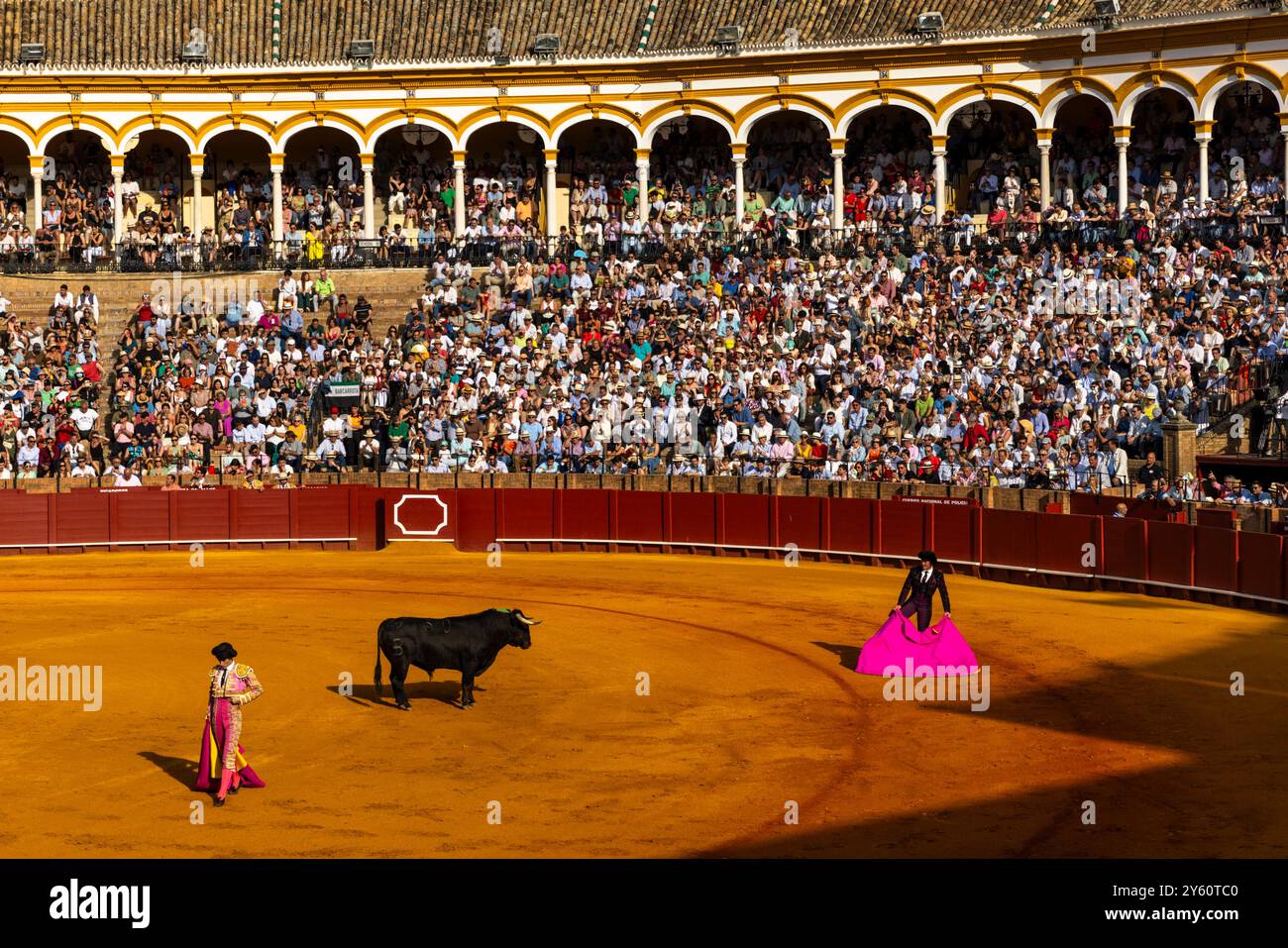 Traditional bullfighting his held at Plaza de Toros in Seville, Spain ...