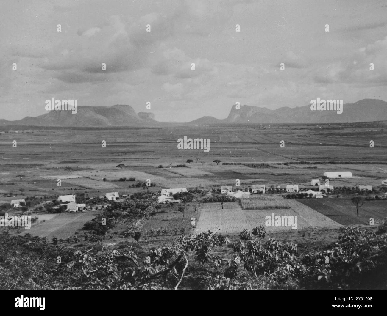 FARMING SETTLERS ON FARM IN ANGOLA 7 MARCH 1960 Stock Photo - Alamy