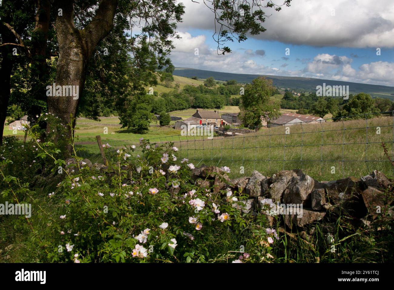 South Walden, West Burton, Wensleydale, Yorkshire Dales, England Stock Photo