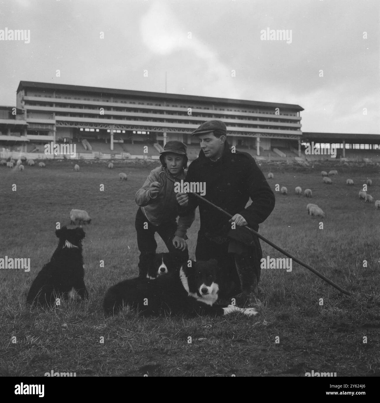 SHEPHERD JOHN COUTTS EXPLAINS THE USE OF THE SHEPHERS CROCK TO A YOUNG BOY WHILE HIS SHEEP DOG KEEPS AN EYE ON THE FLOCK 7 JANUARY 1960 Stock Photo