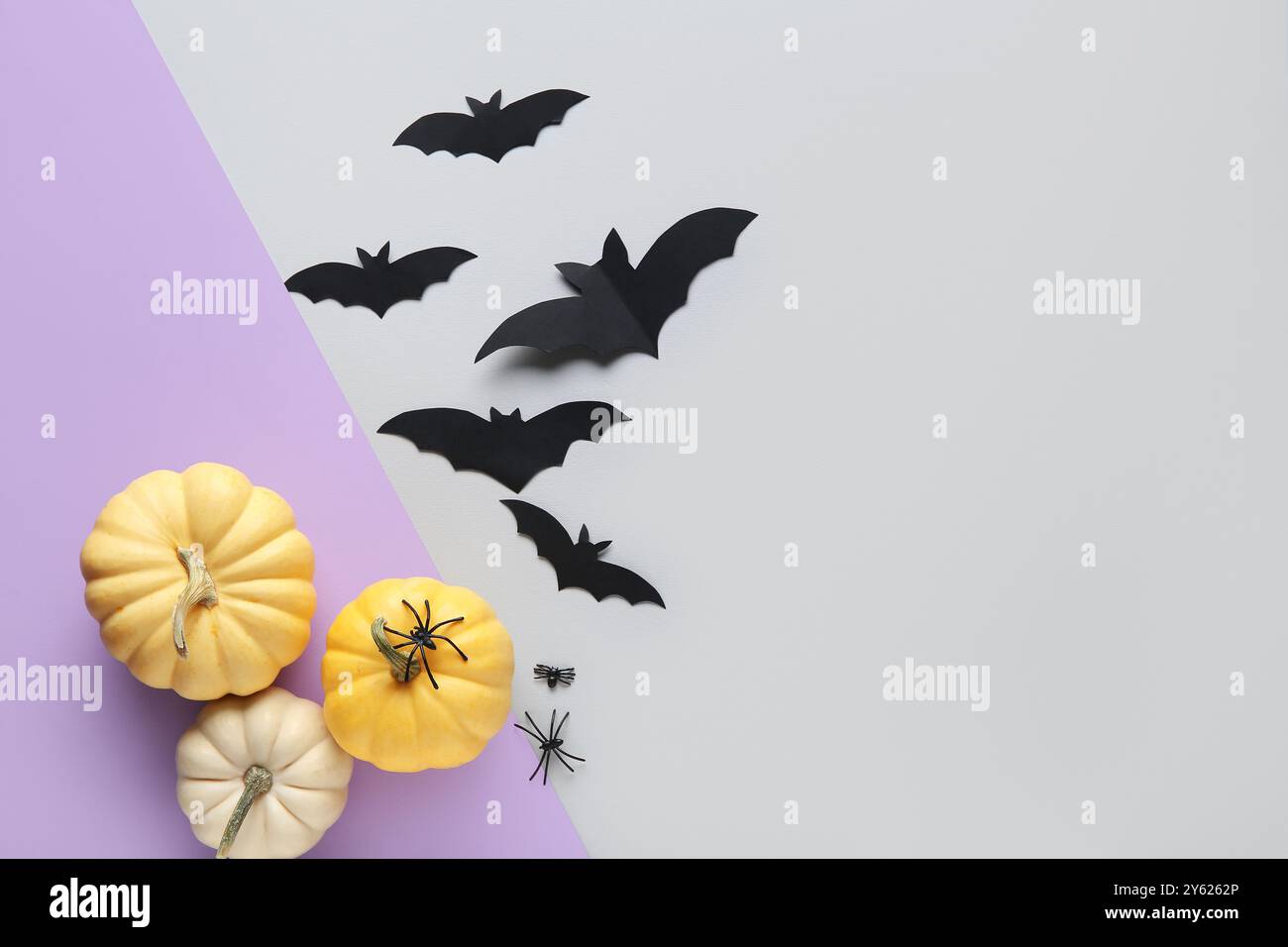 Paper bats with spiders and fresh pumpkins for Halloween party on ...