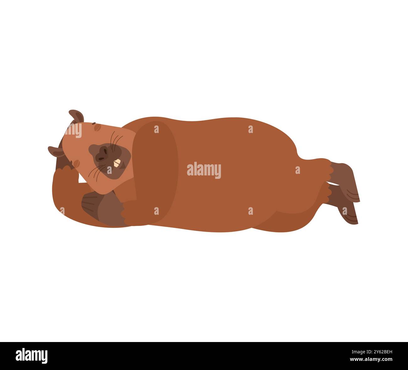 Capybara sleeping. rodent sleeping. Animal vector illustration Stock Vector