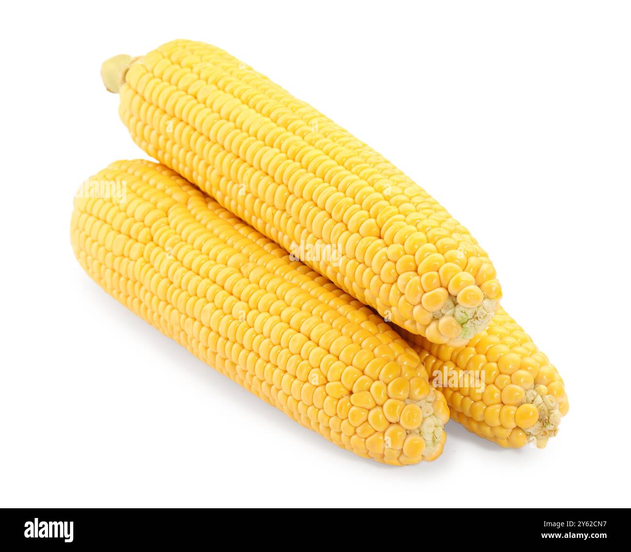 Three fresh ripe corncobs isolated on white Stock Photo
