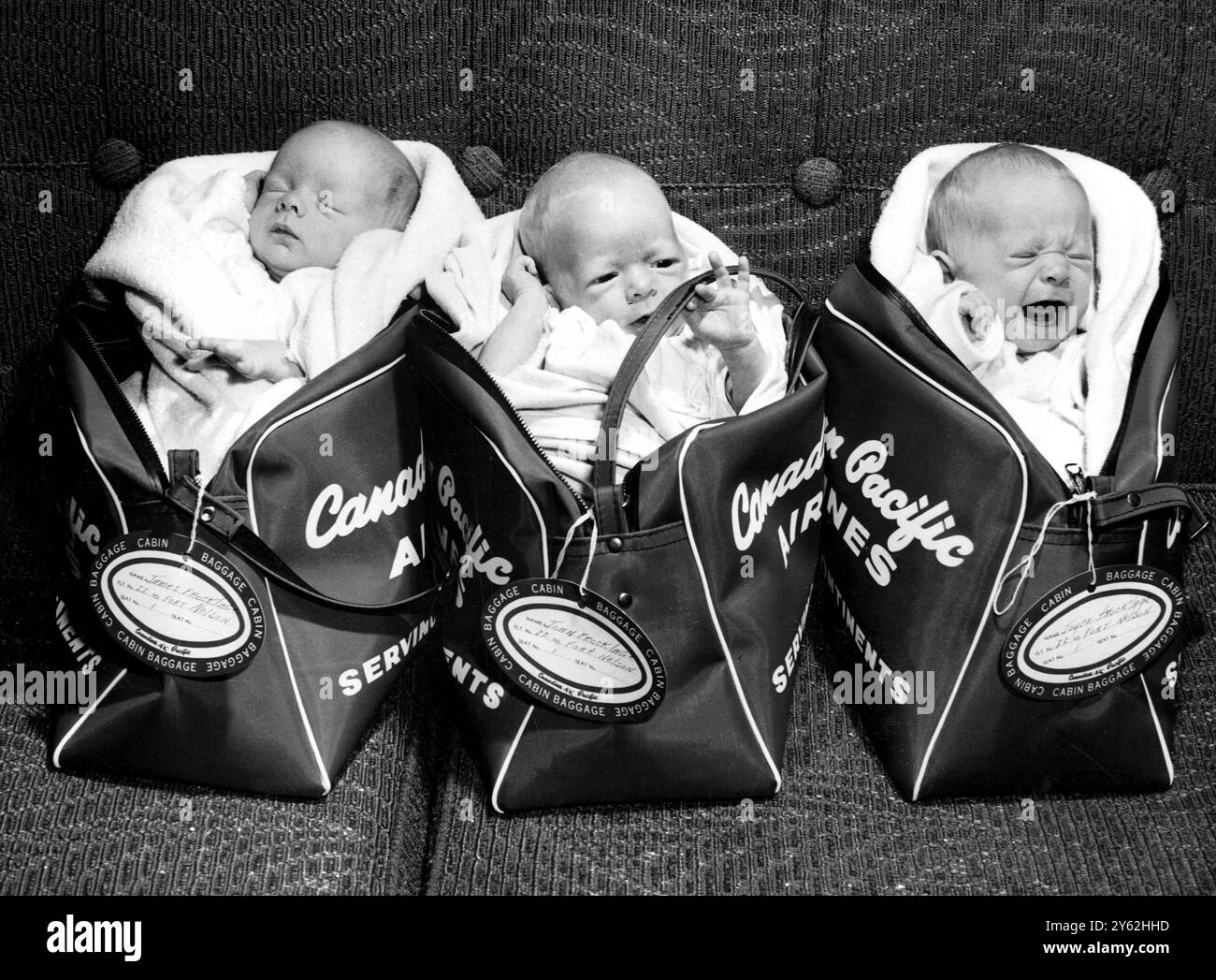 Flying in style, these three week old triplets, left to right, James ...