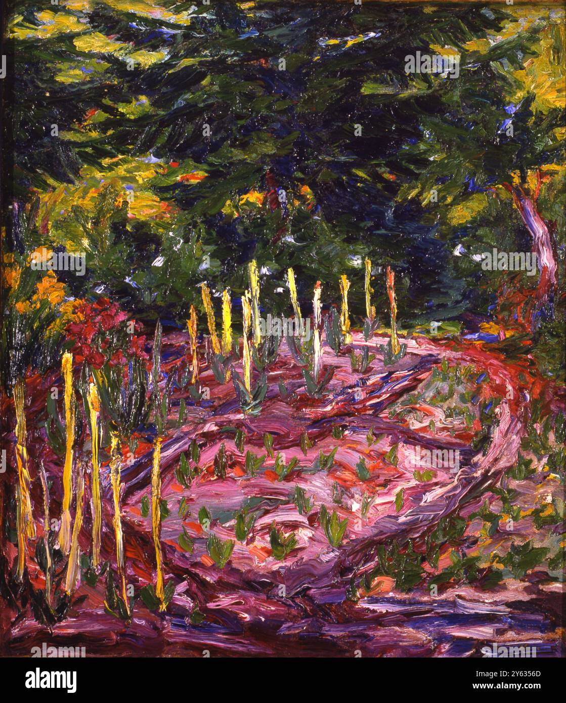 Flowering plants. Museum: Ca' Pesaro Galleria Internazionale d'Arte  Moderna, Venice. Author: EMIL NOLDE Stock Photo - Alamy