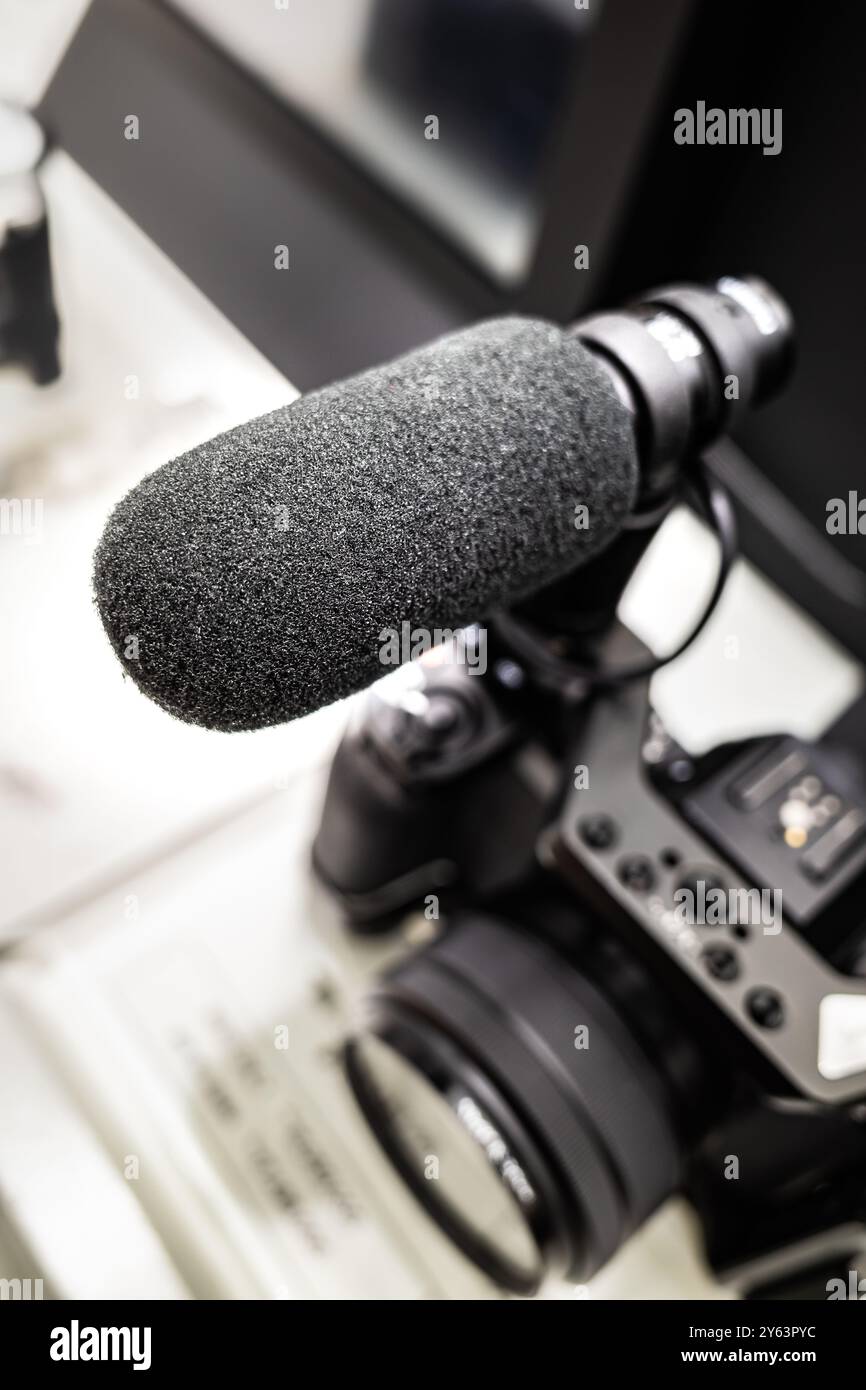 Mirrorless camera rig with covered microphone condenser attached for