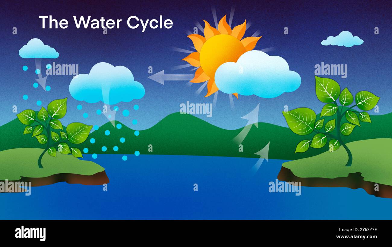 water cycle diagram, representation of the water cycle in nature, Water cycle process on Earth, Hydrologic cycle, Biogeochemical cycle for education Stock Photo