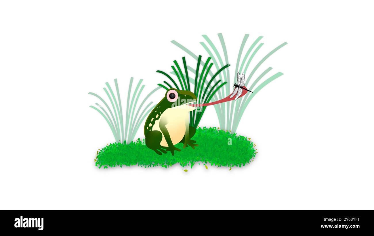 flying-frog-drawing-cut-out-stock-images-pictures-alamy