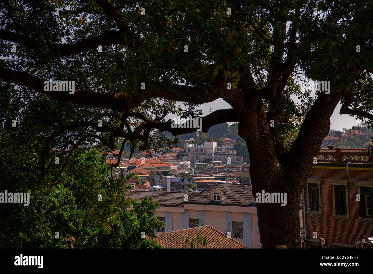 Panoramic Architecture and Urban Scenery of Gulangyu Island in Xiamen City, China, copy space for text Stock Photo