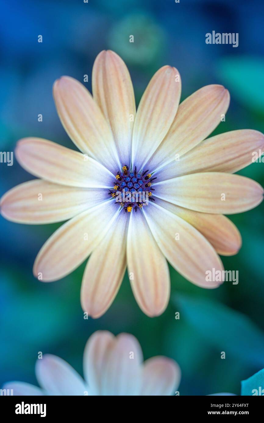 enjoy the little things Stock Photo