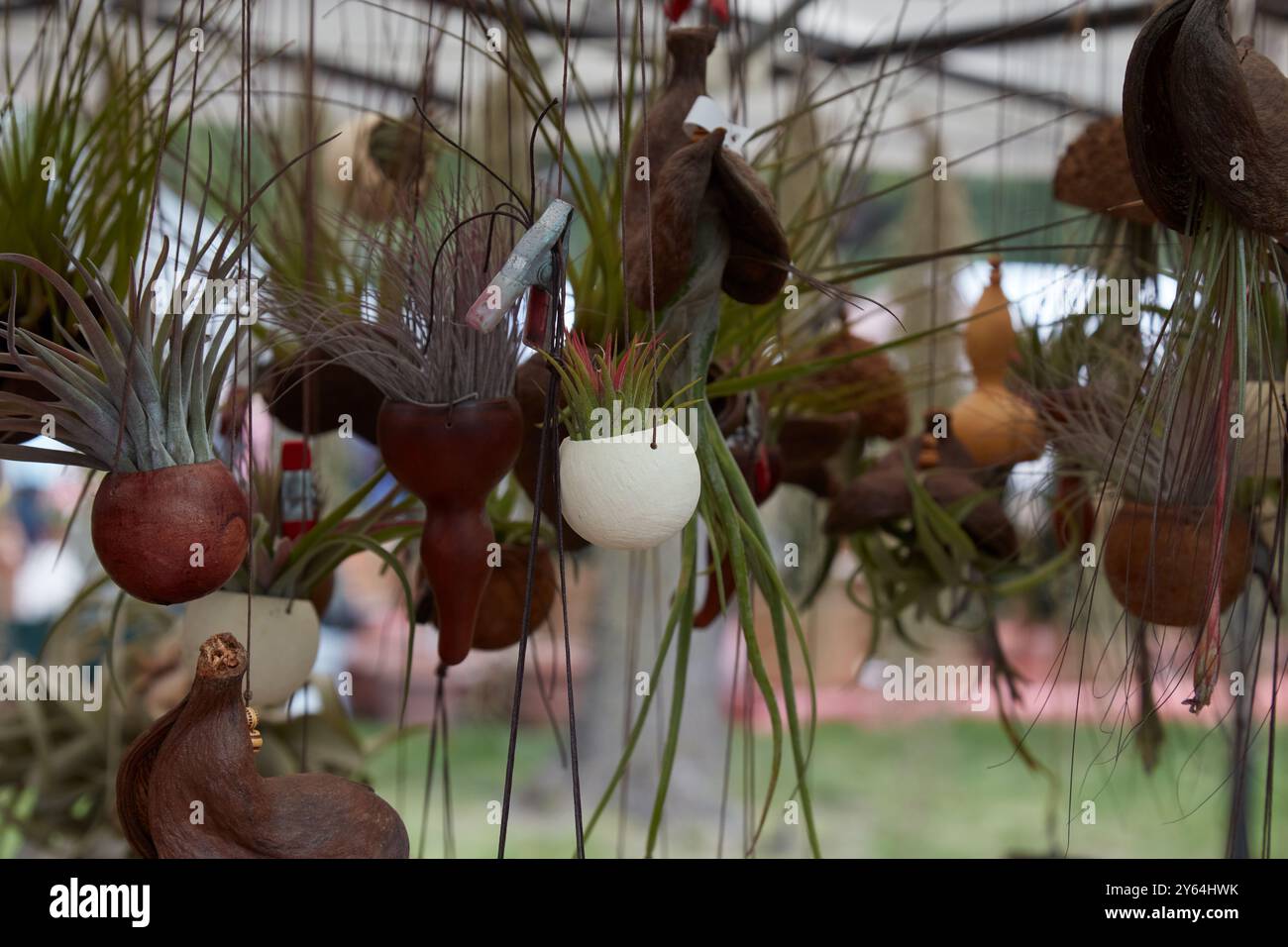 Suspended garden hi-res stock photography and images - Alamy