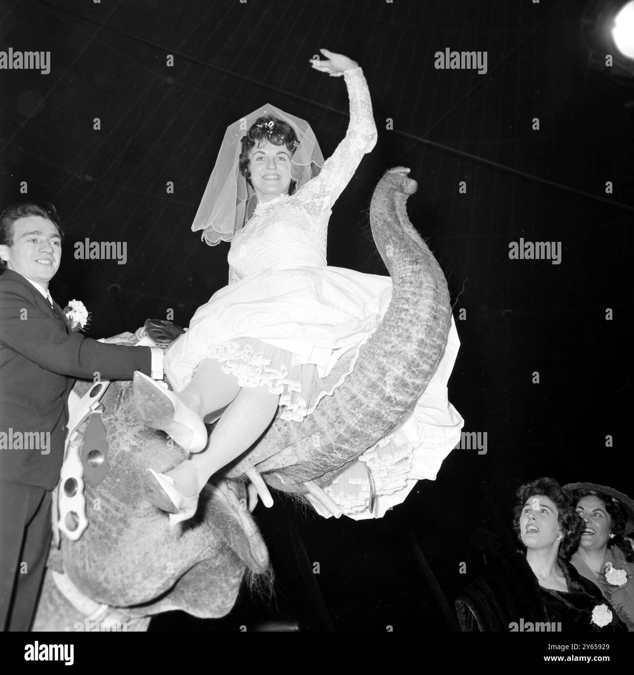 Circus big top Black and White Stock Photos \u0026 Images - Alamy, image size:1300x1384