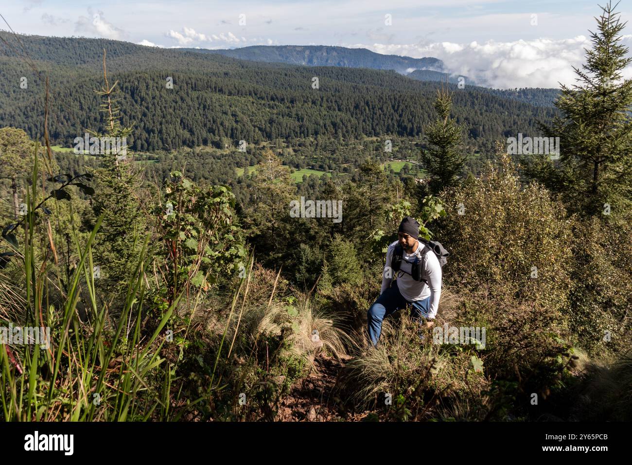 Man walks through dense forest hi-res stock photography and images - Alamy