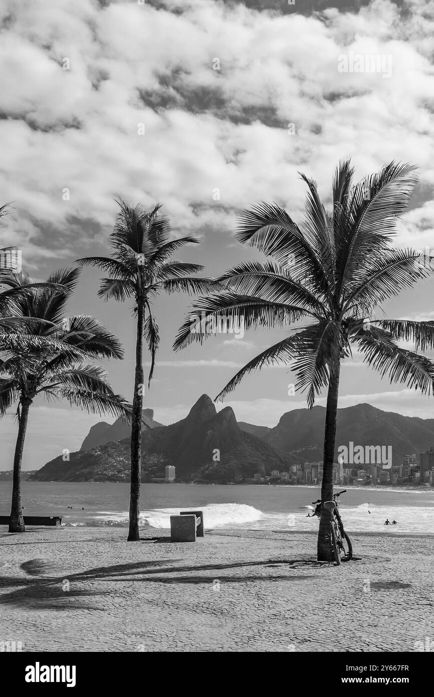 Rio de janeiro, Brazil. Leblon Beach and Dois Irmãos hill seen from Millor Square in Arpoador with the palm trees on a sunny day. Monochrome image. Stock Photo