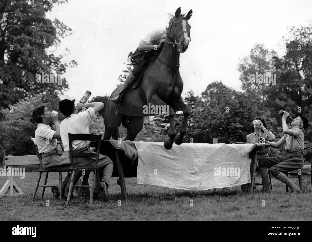 Display of jumping the table on horseback Stock Photo - Alamy