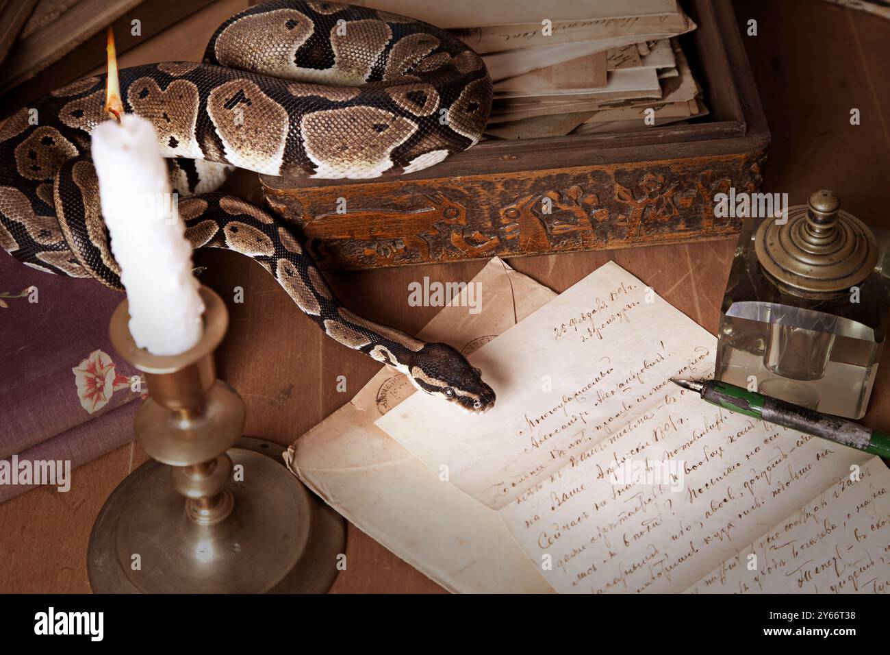 Python snake on vintage background with burning candle Stock Photo - Alamy