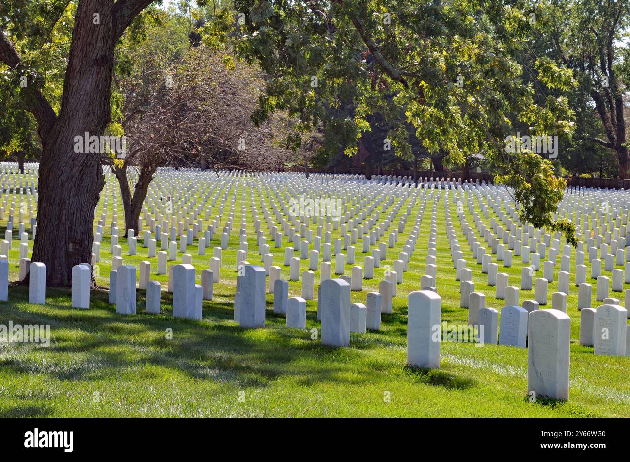 Rows of American veterans' graves in Louisville's Zachary Taylor National Cemetery. Stock Photo