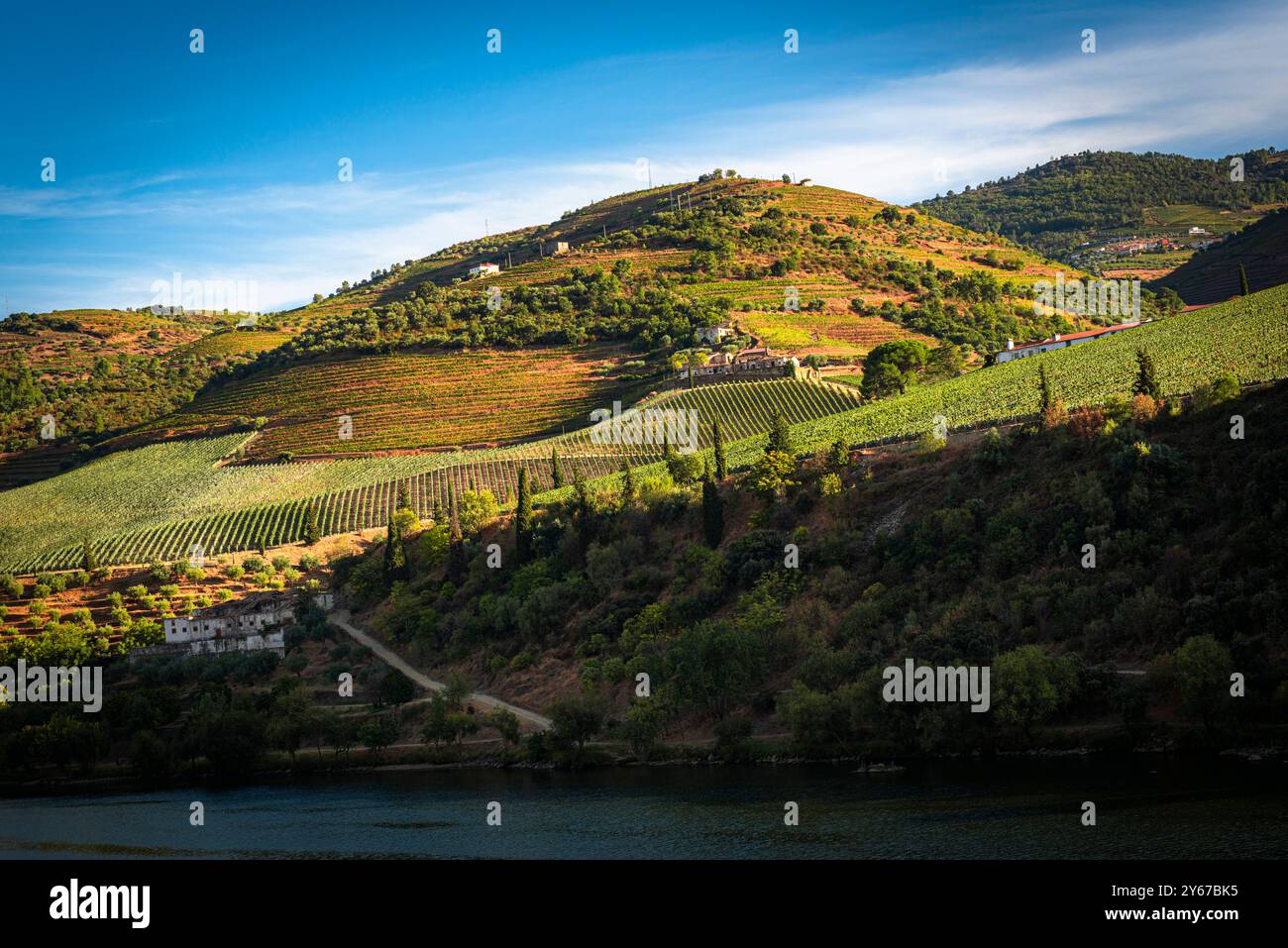 Martinho area of river, views from train across river, between Tua and Pinhao, late afternoon  light, Douro valley, Portugal  Possibly Q.ta de São Mar Stock Photo