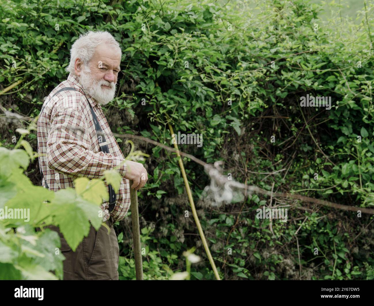 Elderly farmer is taking a break from his work and posing with his ...