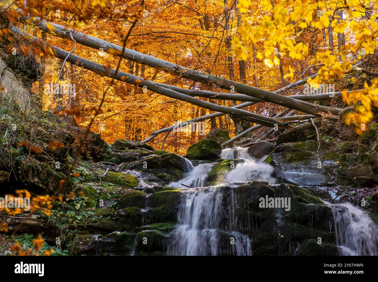 autumn scenery with waterfall. travel destination in carpathian mountains of ukraine. cascades of the river shypit in fall season Stock Photo