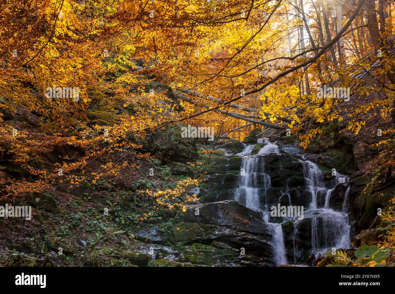 autumn scenery with waterfall. travel destination in carpathian mountains of ukraine. cascades of the river shypit in fall season Stock Photo