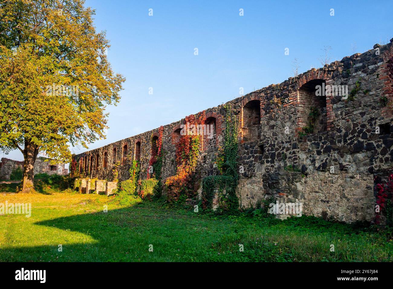 uzhhorod, ukraine - 12 oct 2008: stone castle wall in evening light. urban scenery in autumn. ivy plant and colorful foliage. inner courtyard. popular Stock Photo