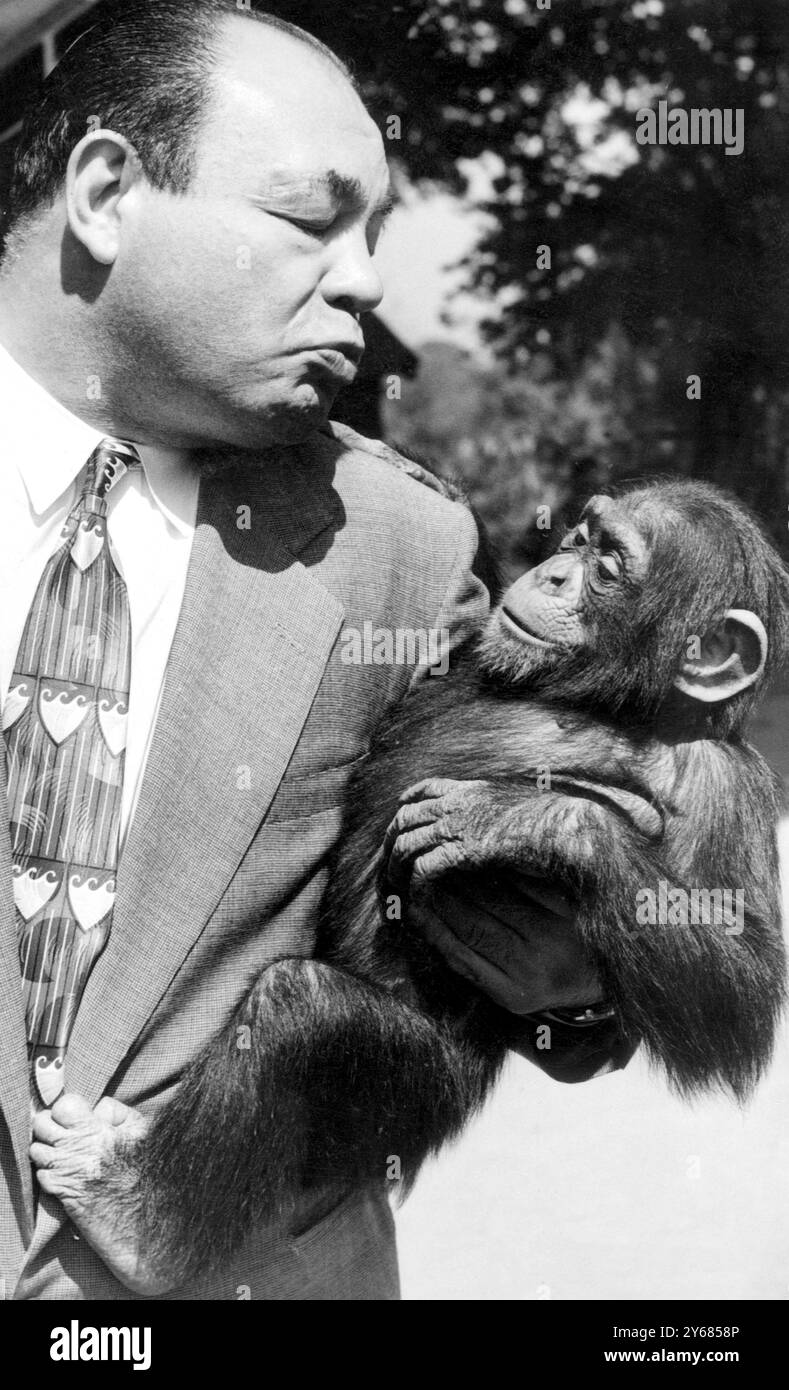 Tony Galento US boxer who once fought Joe Louis and knocked him down in the first round pictured with Jacko a chimpanzee from the Zoological Gardens in Phoenix Park, Dublin, Ireland  7th June 1951 Stock Photo