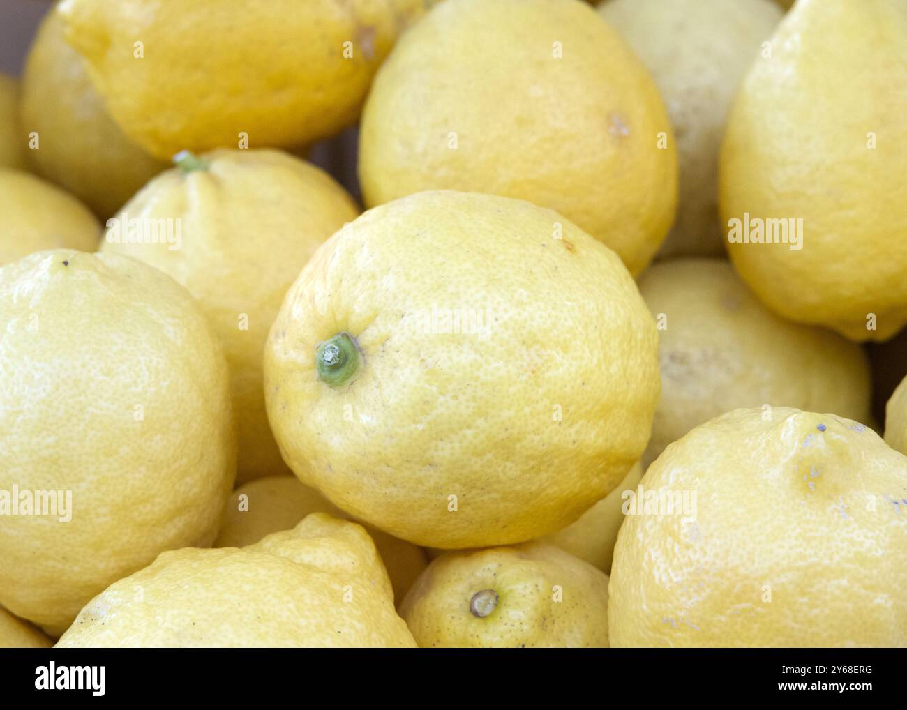 Close up of organic eureka lemons on display for sale at fruit stand. Fresh summer fruit. Stock Photo