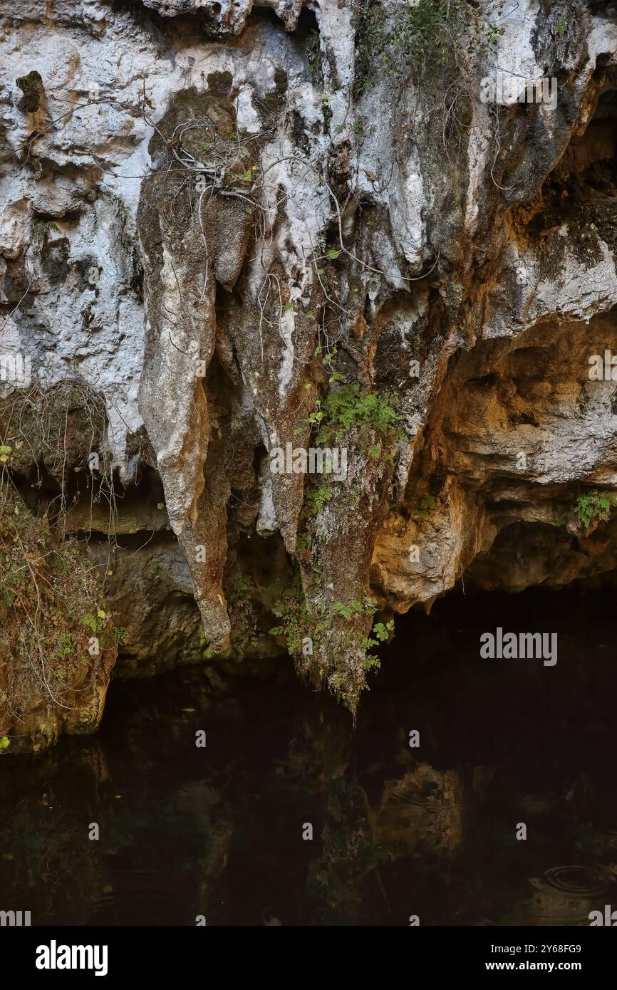Alo hi-res stock photography and images - Alamy