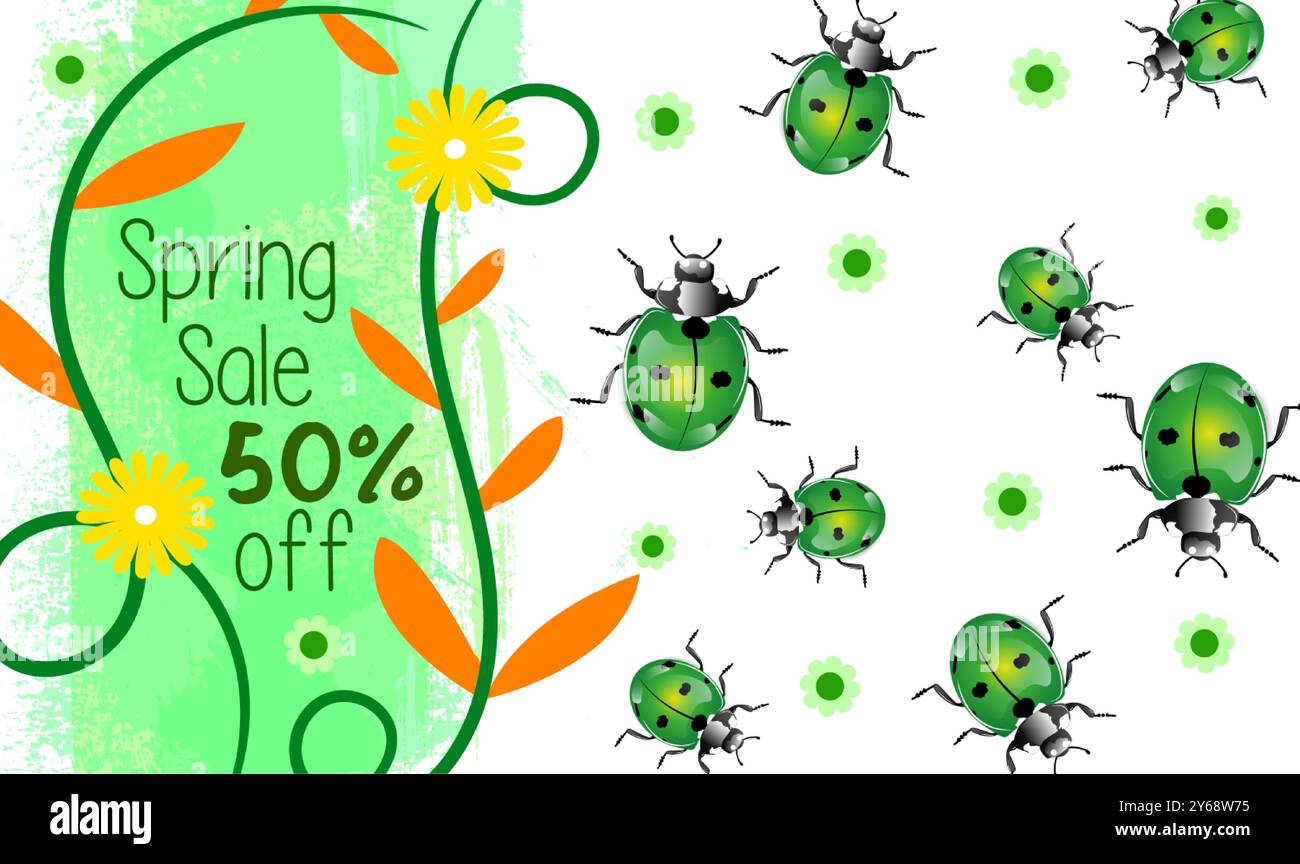 ladybugs background and anatomy Stock Vector Image & Art - Alamy