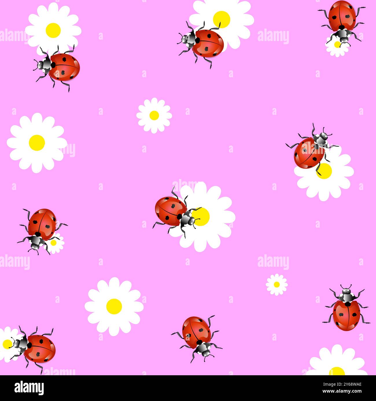 ladybugs background and anatomy Stock Vector Image & Art - Alamy