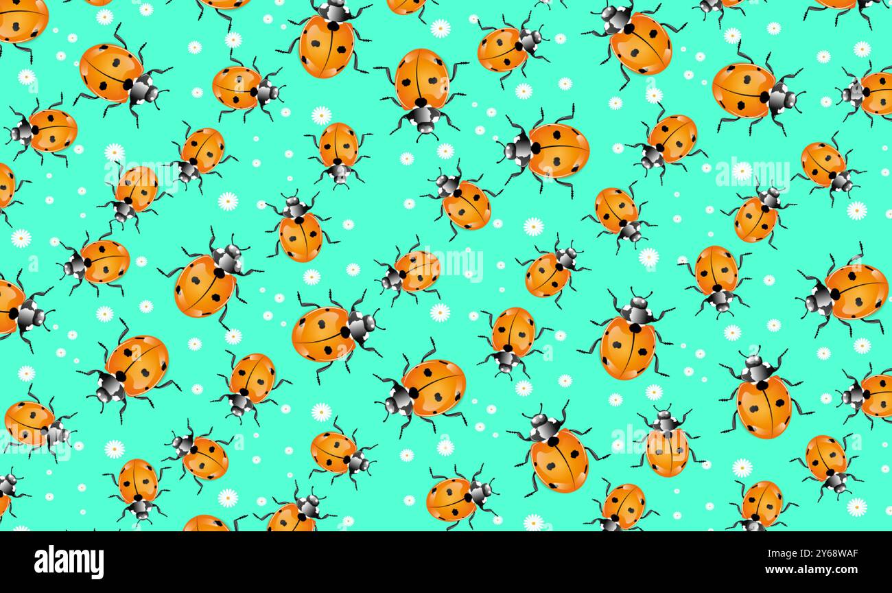 ladybugs background and anatomy Stock Vector Image & Art - Alamy