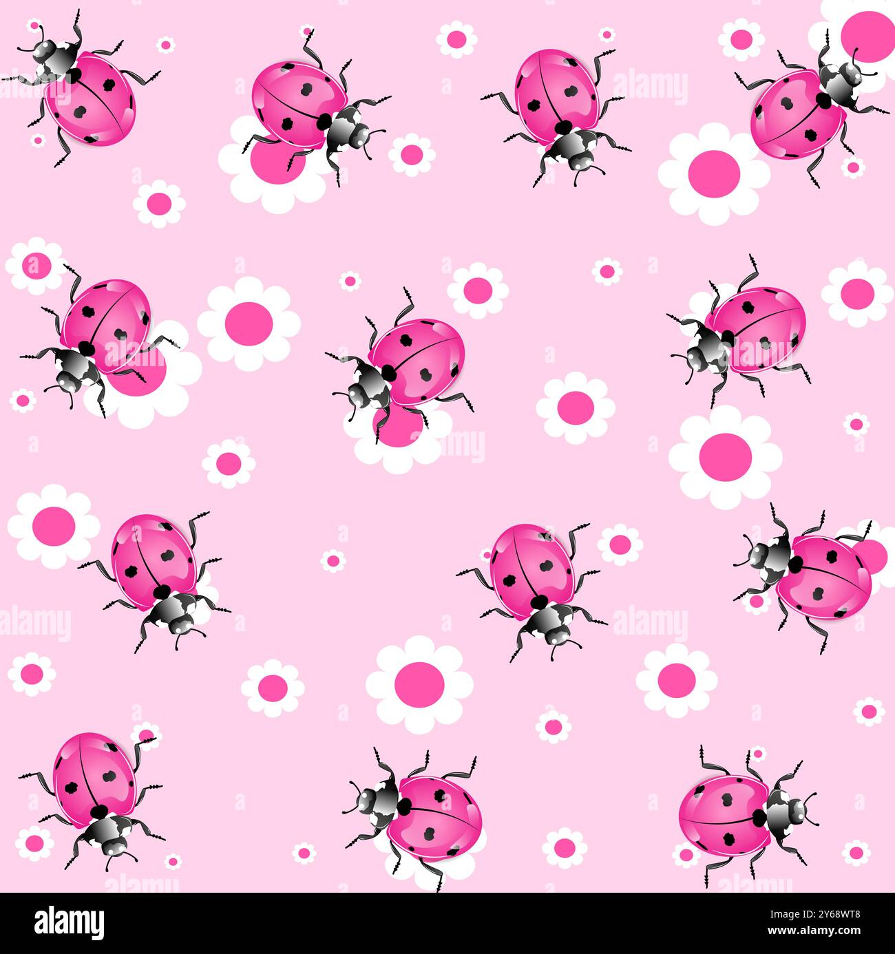 ladybugs background and anatomy Stock Vector Image & Art - Alamy
