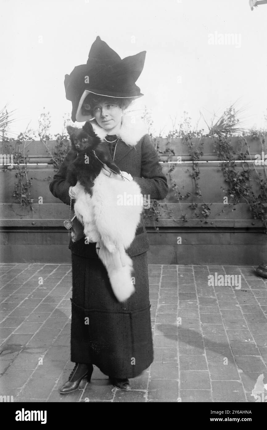 Mrs. Geo. R. Peabody and 'Mauchi', Photograph shows Mrs. George Russell Peabody (Natalie Clews) with her dog at the first specialty show given by the American Pomeranian Club at the Waldorf-Astoria Hotel in New York City on January 10, 1911., 1911 Jan. 12, Glass negatives, 1 negative: glass; 5 x 7 in. or smaller. Stock Photo