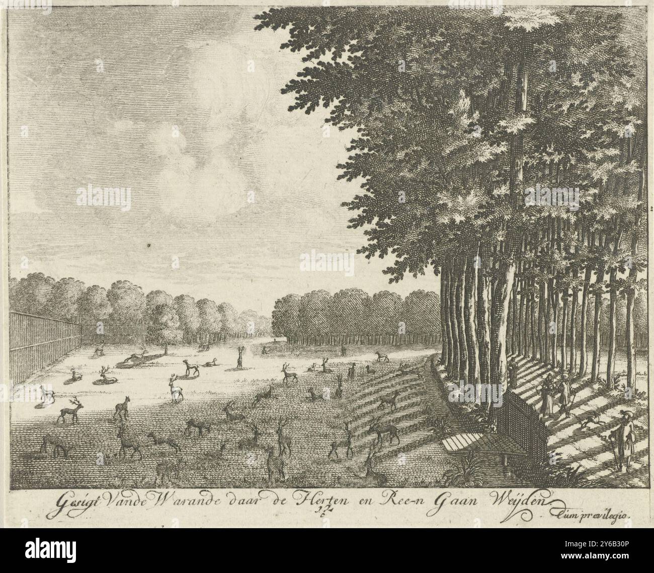 Deer camp of Soestdijk Palace, General Images of Lust-Huijs and Court of His Royal Majesty of Great Britain in Soest-Dijk (series title), Gesigt Vande Warande there de Herten en Ree-n Gaan Weijden (title on object), View of the deer park of Soestdijk Palace. The print is part of a series with sixteen views of Soestdijk Palace and the associated estate., print, print maker: Hendrik de Leth, unknown, 1725 - 1747, paper, etching, height, 131 mm × width, 160 mm Stock Photo